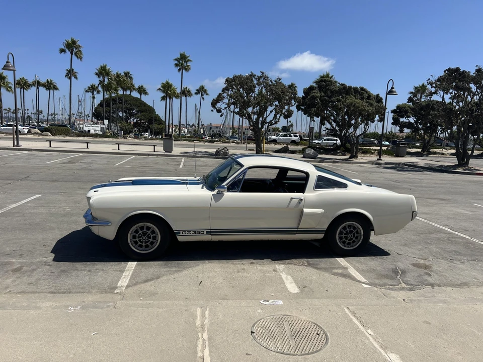 1966 Shelby GT350 - Image 12 of 31