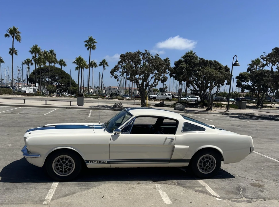 1966 Shelby GT350 - Image 13 of 31