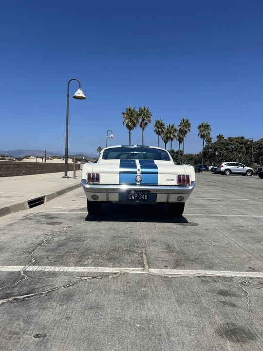 1966 Shelby GT350 - Image 21 of 31