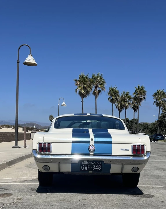 1966 Shelby GT350 - Image 22 of 31