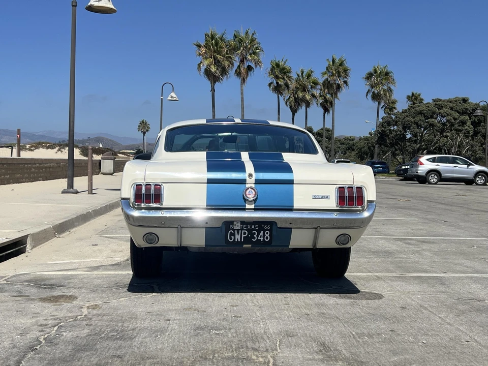1966 Shelby GT350 - Image 20 of 31