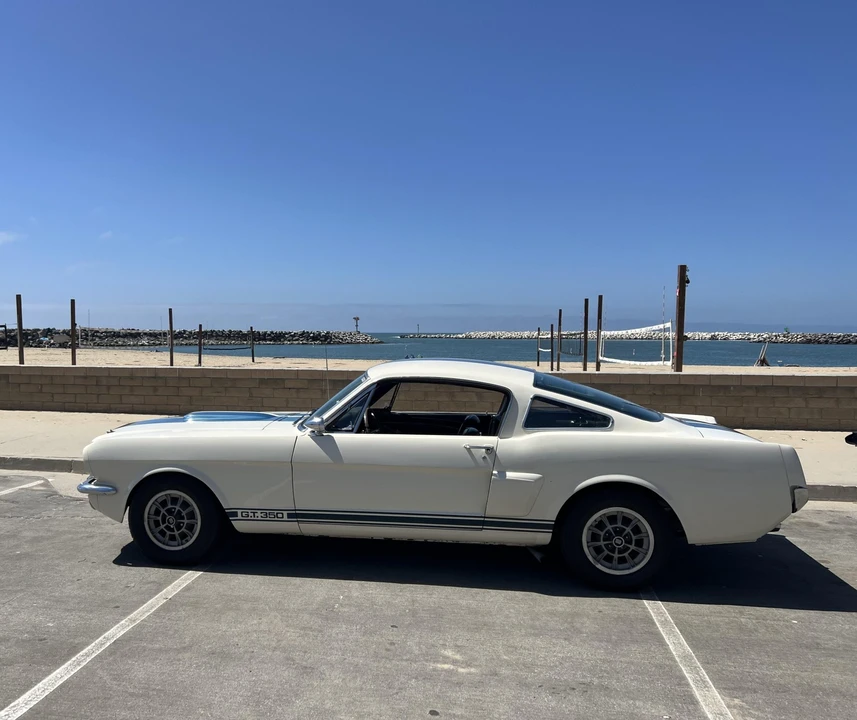1966 Shelby GT350 - Image 16 of 31