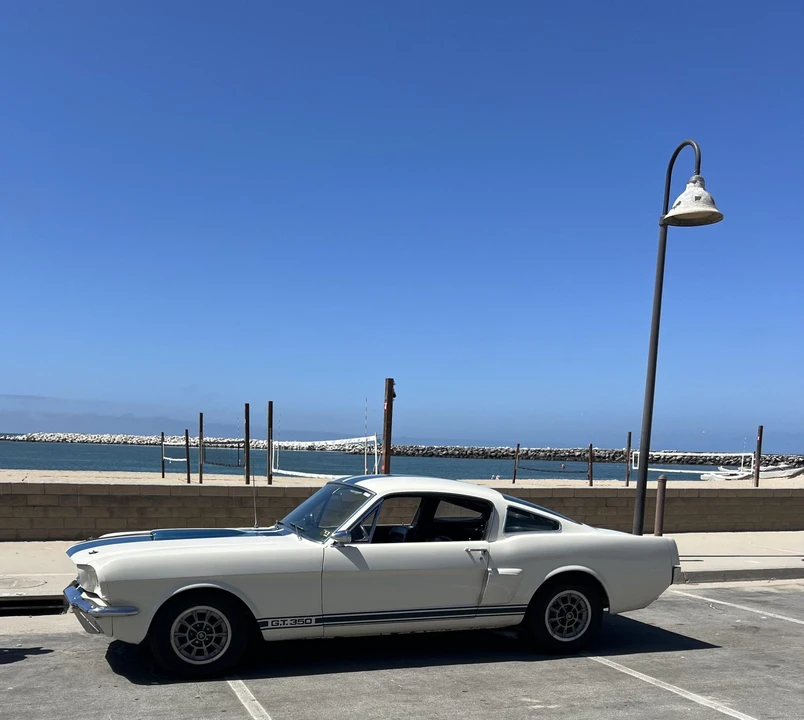 1966 Shelby GT350 - Image 15 of 31