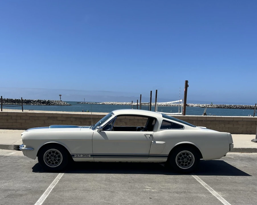 1966 Shelby GT350 - Image 14 of 31