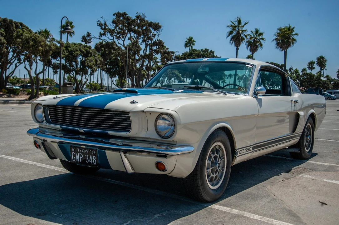1966 Shelby GT350 - Image 2 of 31