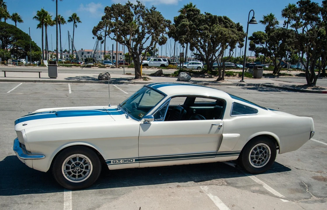 1966 Shelby GT350 - Image 4 of 31