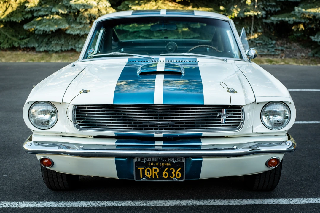 1966 Shelby GT350 - Image 8 of 31