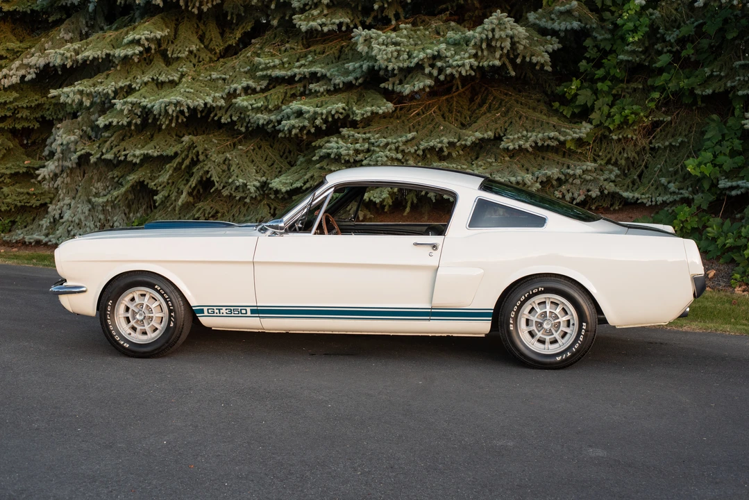 1966 Shelby GT350 - Image 16 of 31