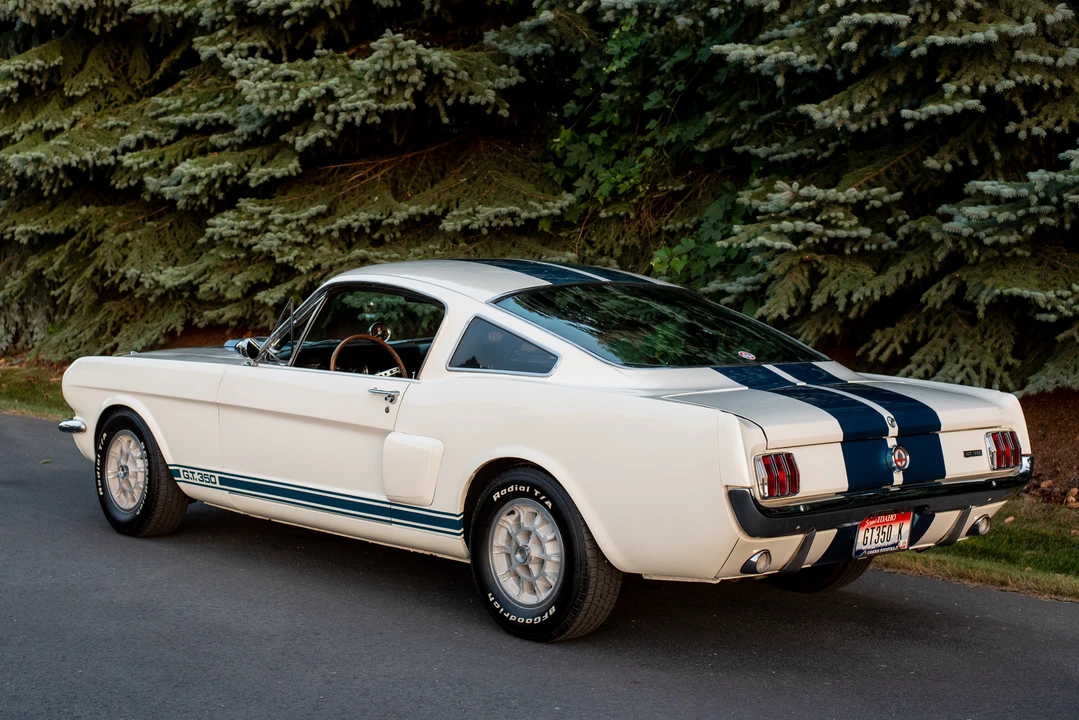 1966 Shelby GT350 - Image 15 of 31