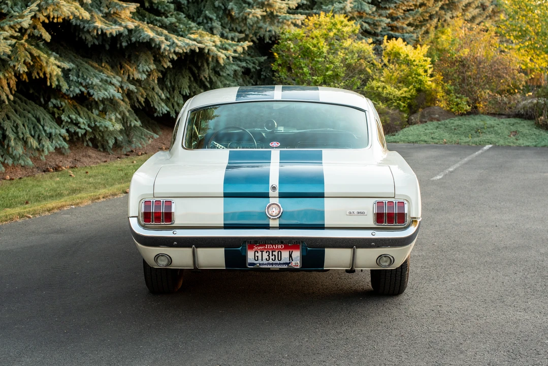 1966 Shelby GT350 - Image 13 of 31