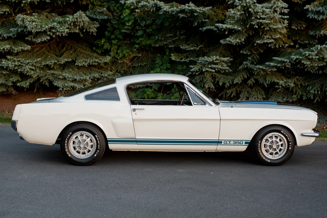 1966 Shelby GT350 - Image 11 of 31