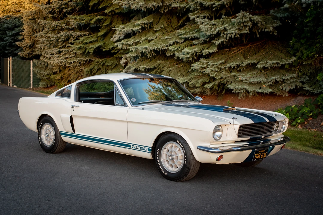 1966 Shelby GT350 - Image 10 of 31