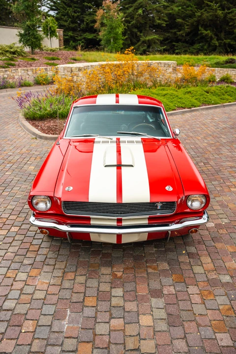 1966 Shelby GT350 - Image 15 of 31