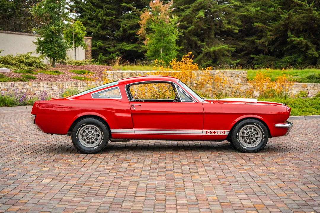1966 Shelby GT350 - Image 26 of 31