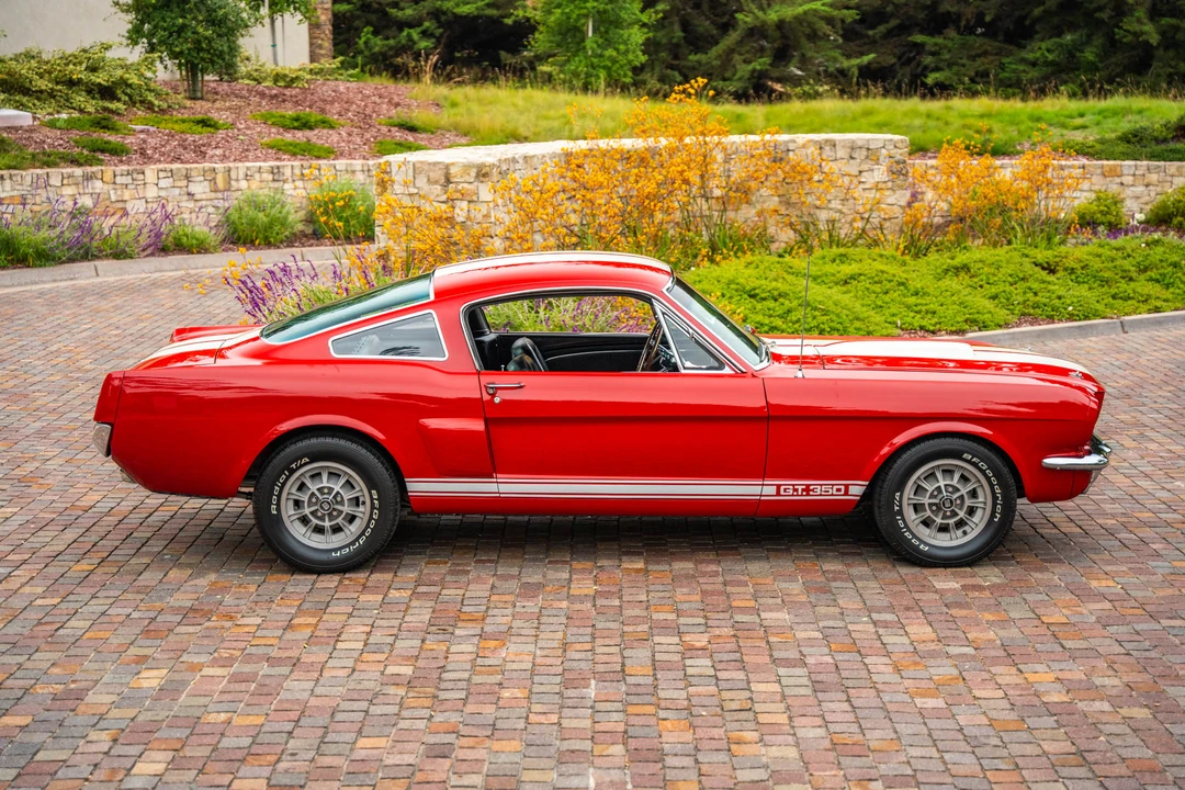 1966 Shelby GT350 - Image 25 of 31