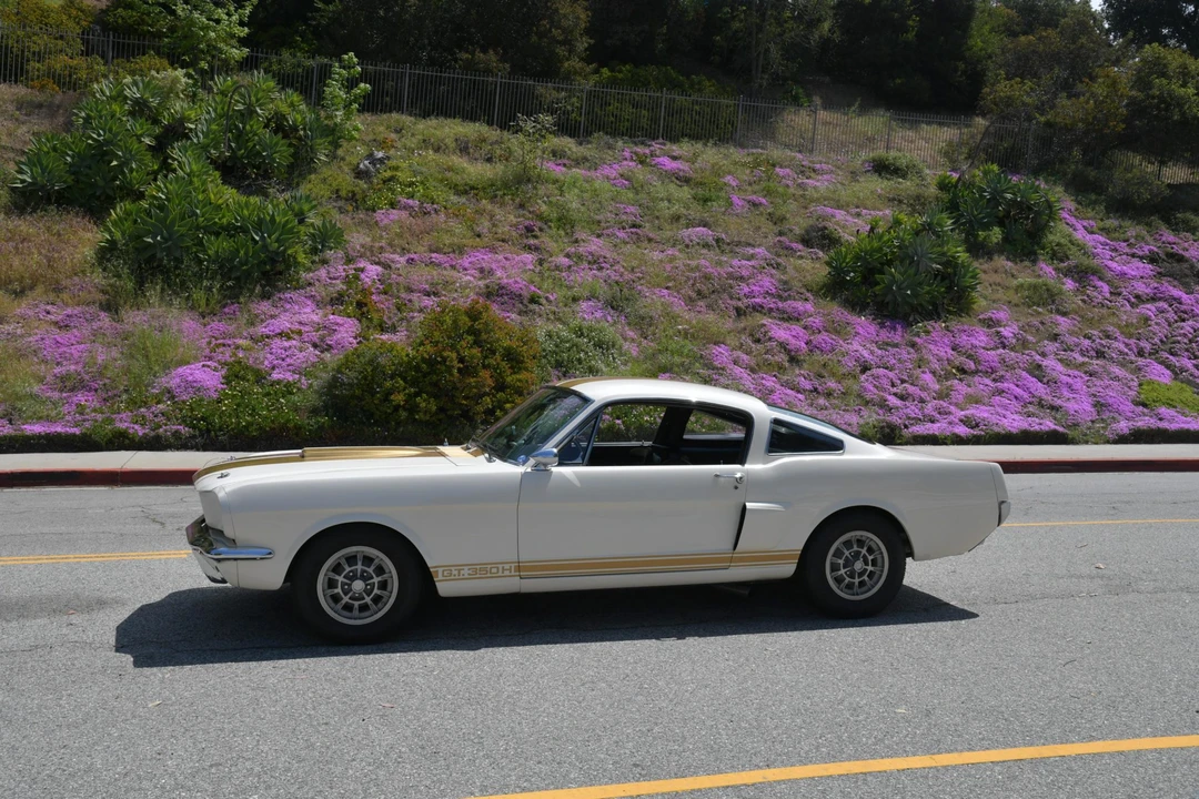 1966 Shelby GT350 - Image 19 of 31