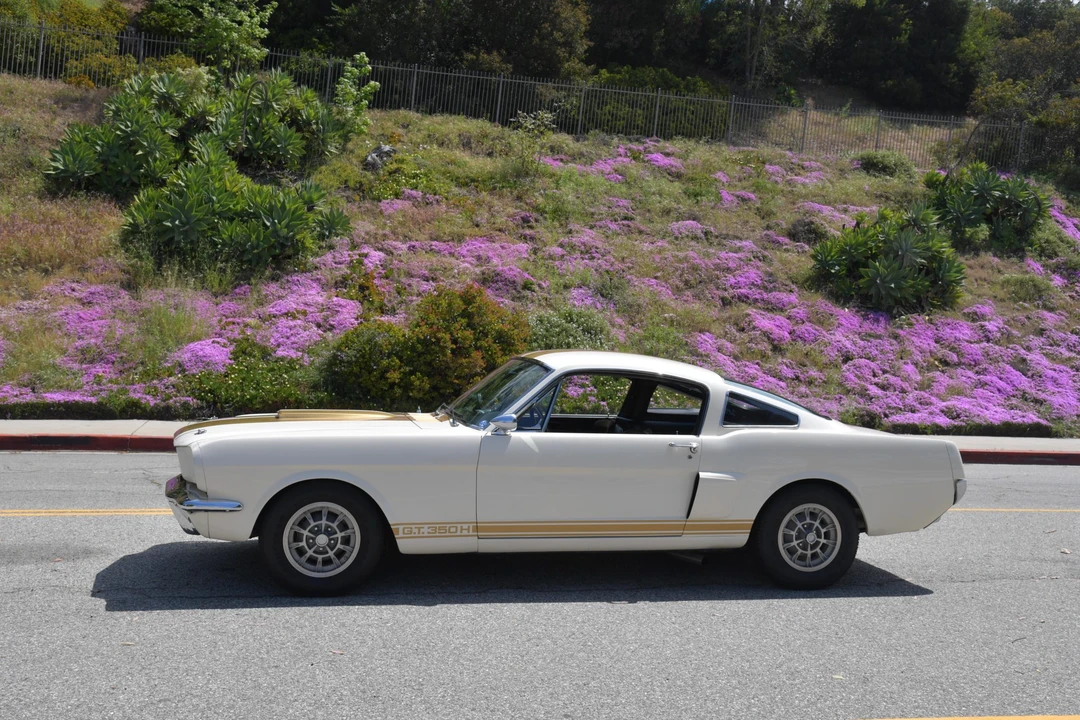 1966 Shelby GT350 - Image 18 of 31