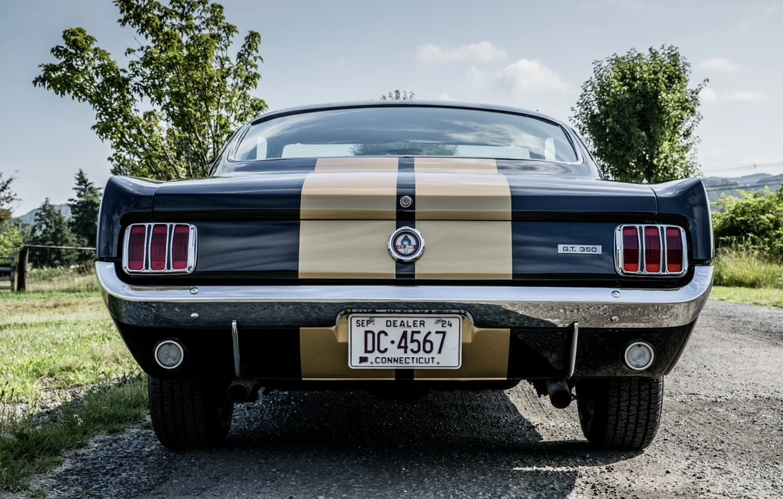 1966 Shelby GT350 - Image 14 of 31