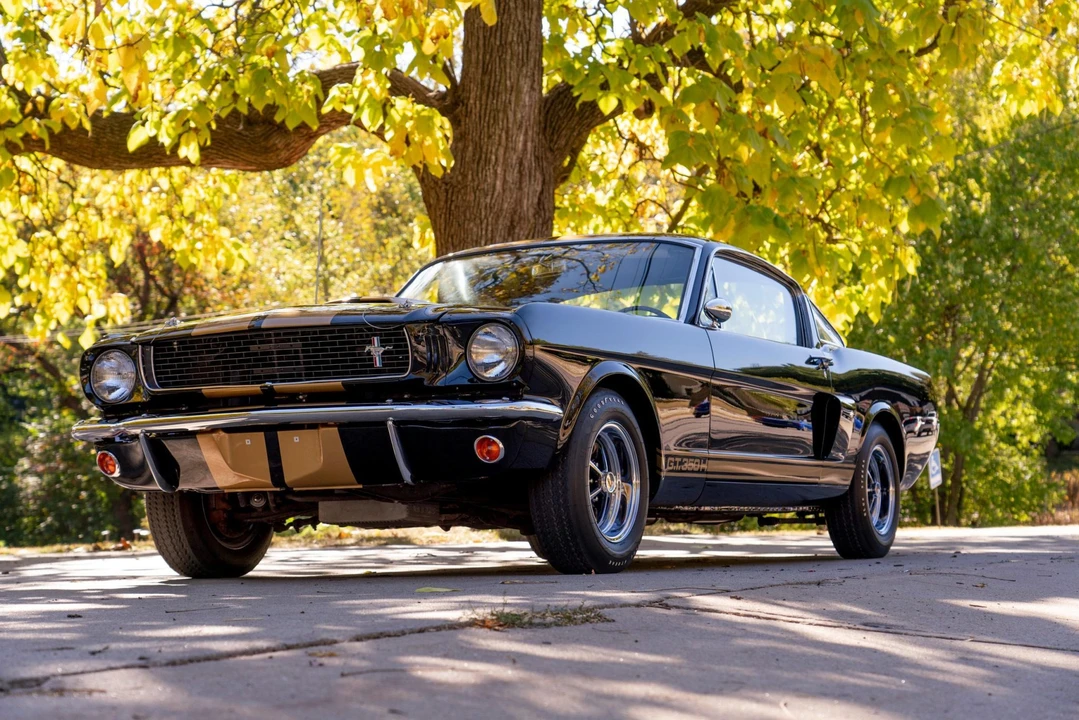 1966 Shelby GT350 - Image 7 of 31
