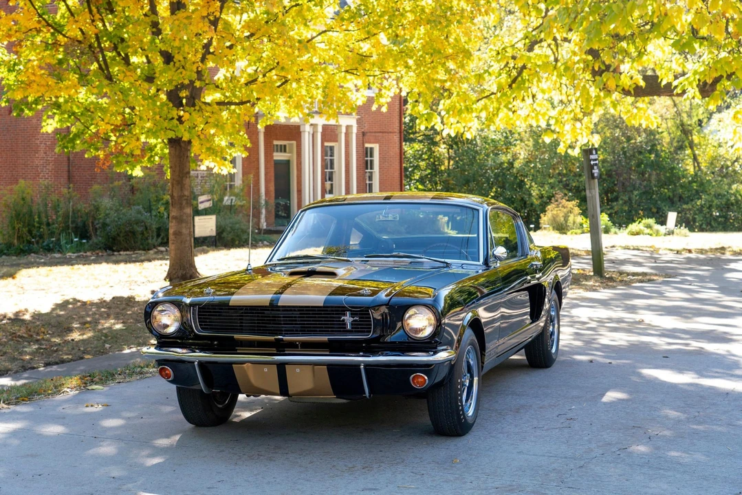 1966 Shelby GT350 - Image 3 of 31