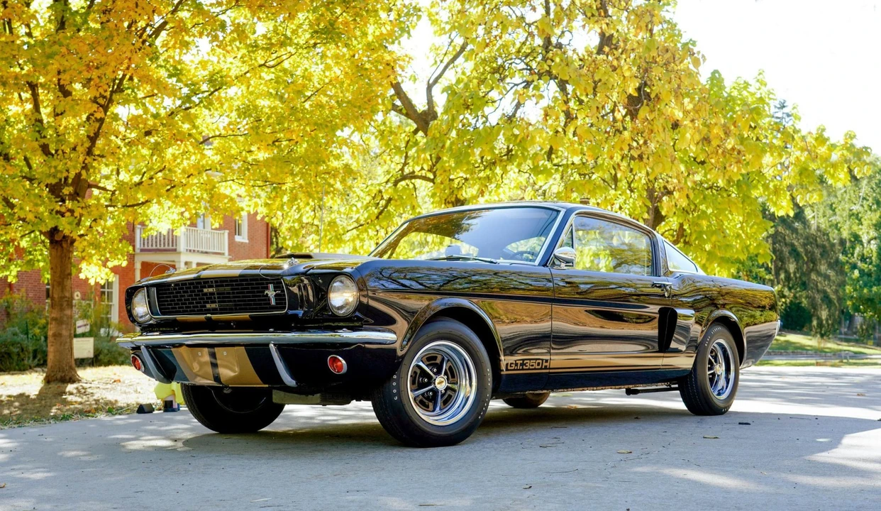 1966 Shelby GT350 - Image 11 of 31