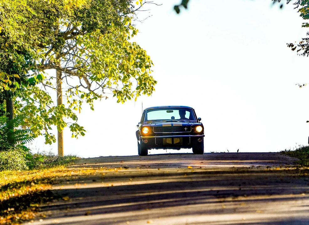 1966 Shelby GT350 - Image 23 of 31