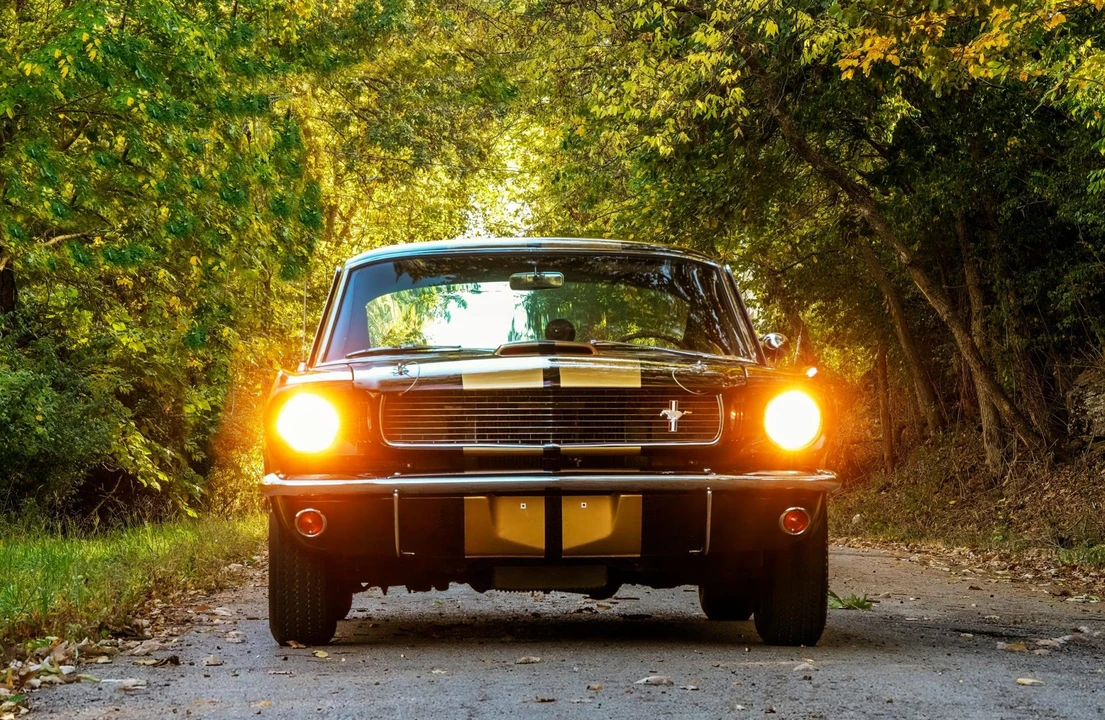 1966 Shelby GT350 - Image 26 of 31