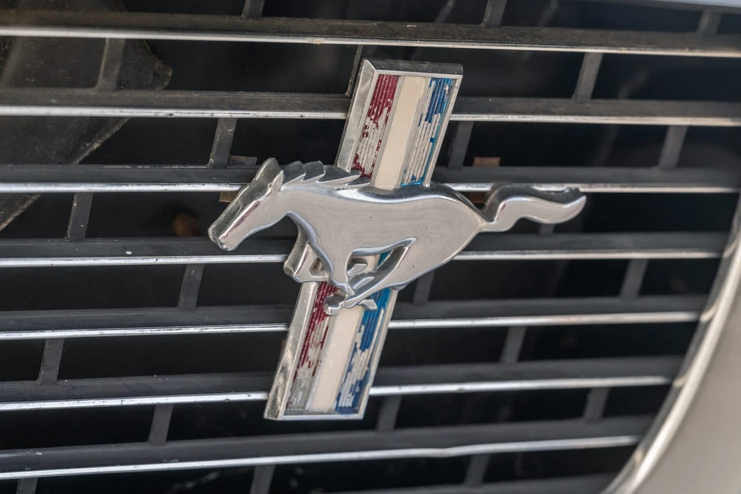 1966 Shelby GT350 - Image 14 of 31