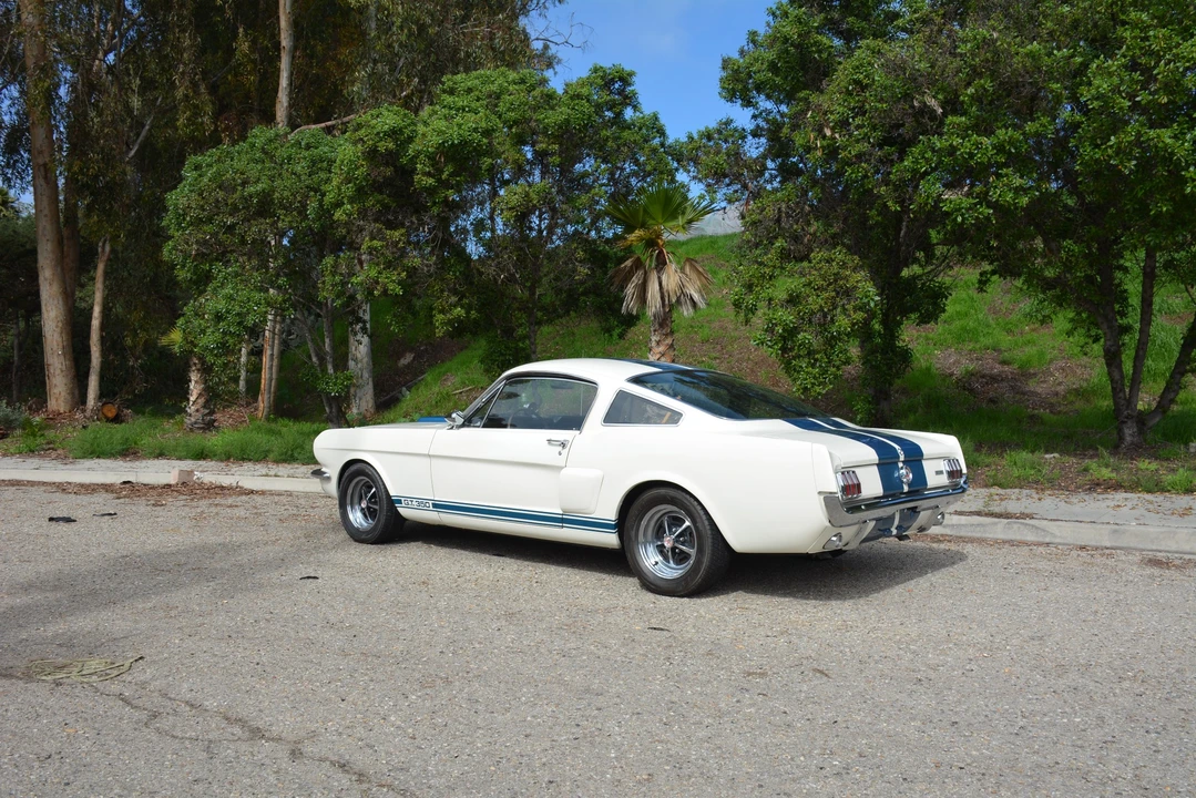 1966 Shelby GT350 - Image 20 of 31