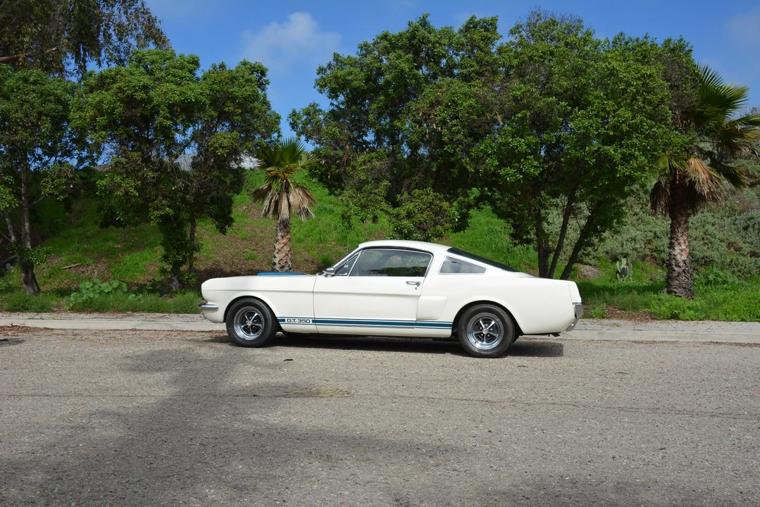 1966 Shelby GT350 - Image 14 of 31