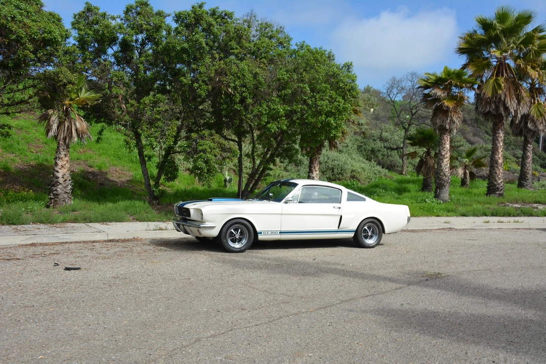 1966 Shelby GT350 - Image 12 of 31