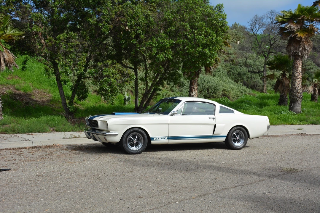 1966 Shelby GT350 - Image 16 of 31