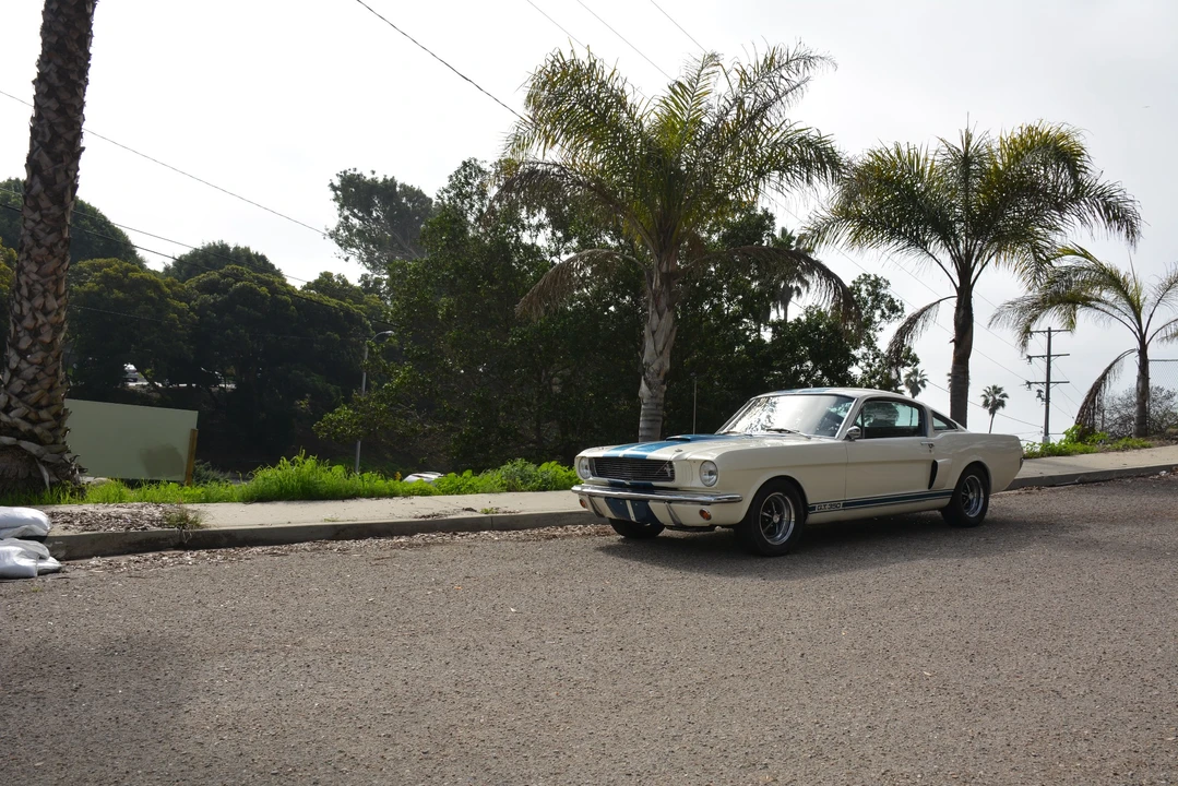 1966 Shelby GT350 - Image 8 of 31