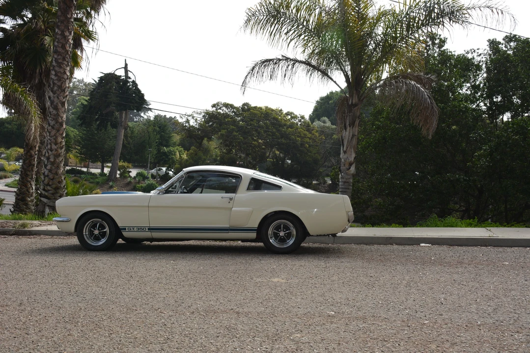 1966 Shelby GT350 - Image 13 of 31