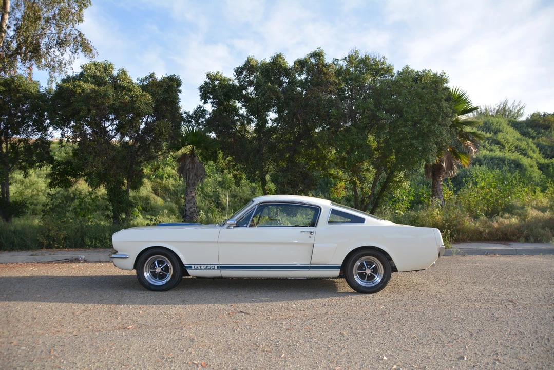 1966 Shelby GT350 - Image 15 of 31