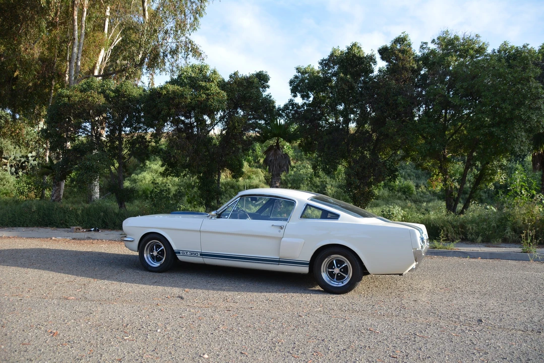 1966 Shelby GT350 - Image 19 of 31