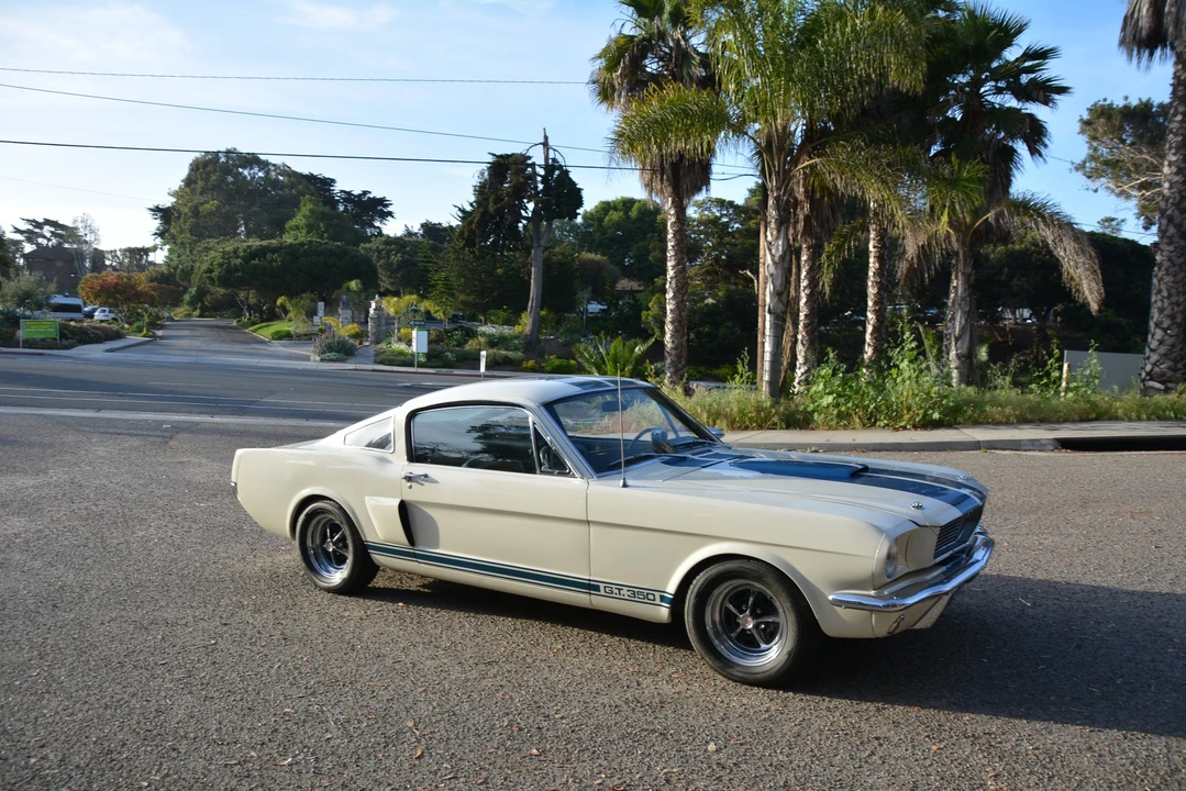1966 Shelby GT350 - Image 31 of 31