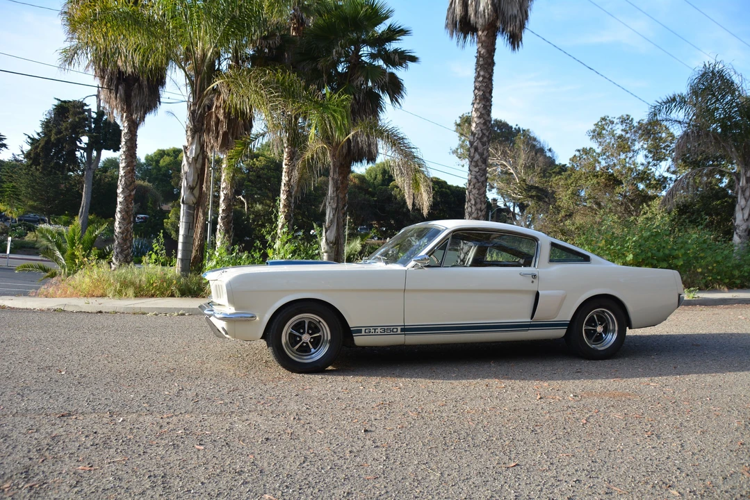 1966 Shelby GT350 - Image 17 of 31