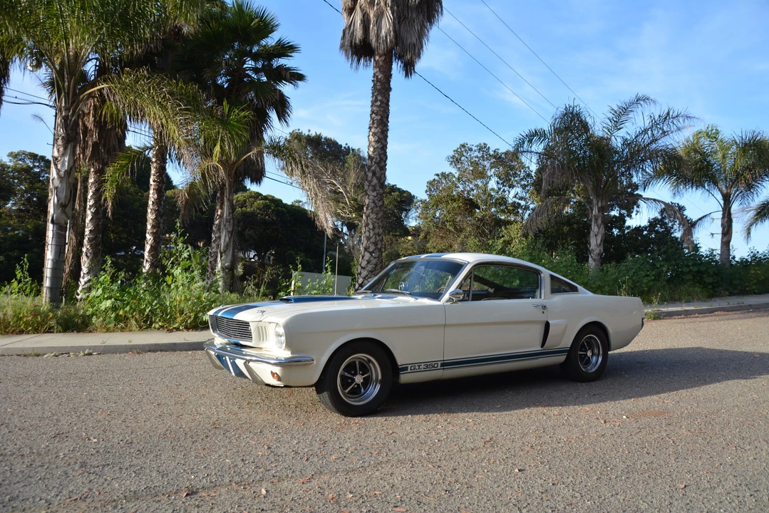 1966 Shelby GT350 - Image 18 of 31