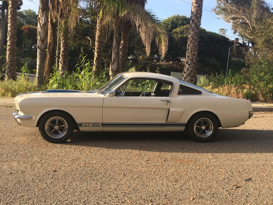 1966 Shelby GT350 - Image 22 of 31