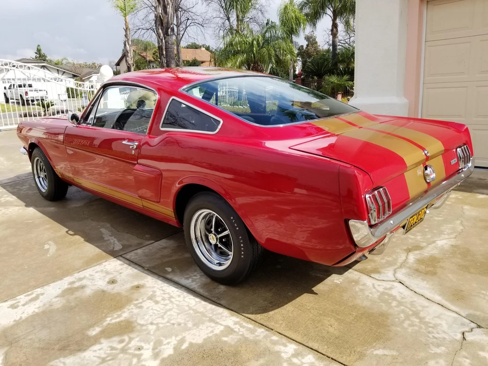 1966 Shelby GT350 - Image 8 of 31