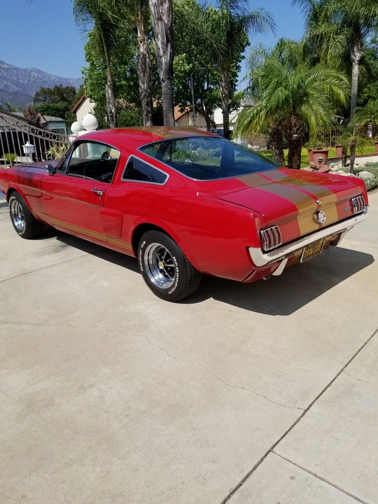 1966 Shelby GT350 - Image 20 of 31