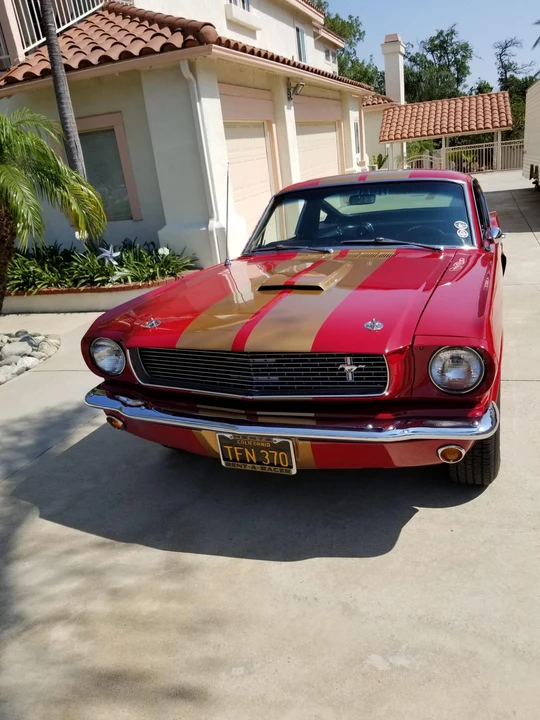 1966 Shelby GT350 - Image 17 of 31