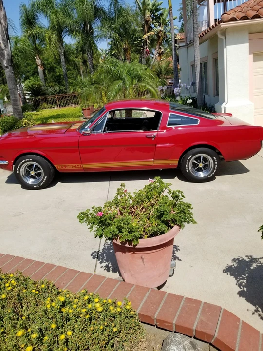 1966 Shelby GT350 - Image 18 of 31