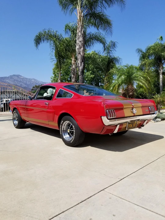 1966 Shelby GT350 - Image 19 of 31