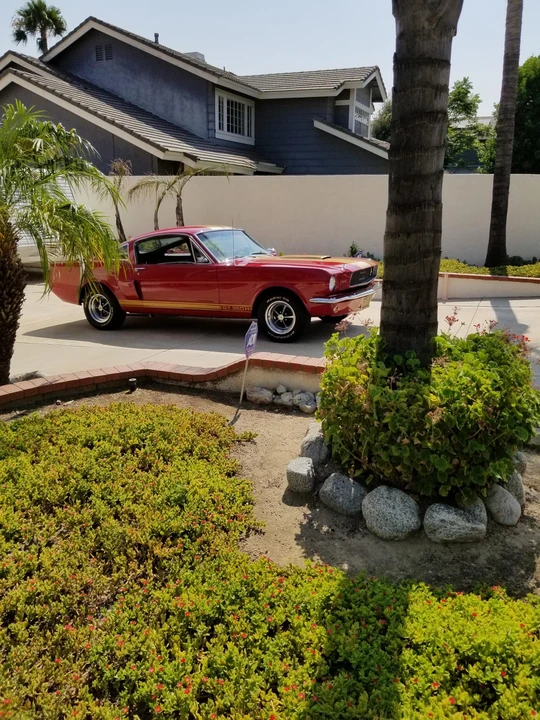 1966 Shelby GT350 - Image 30 of 31