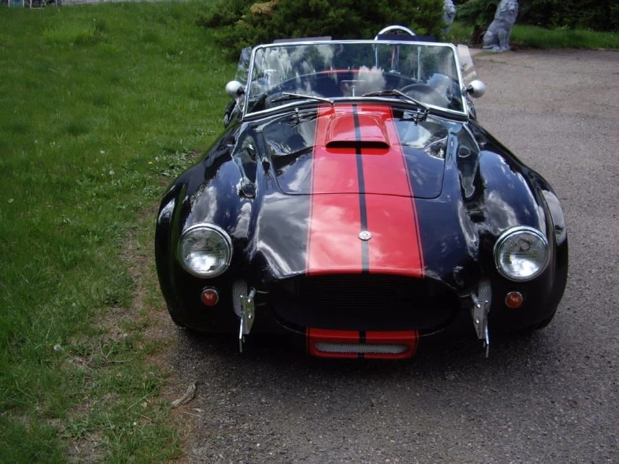 1966 Shelby Cobra Replica - Image 8 of 11