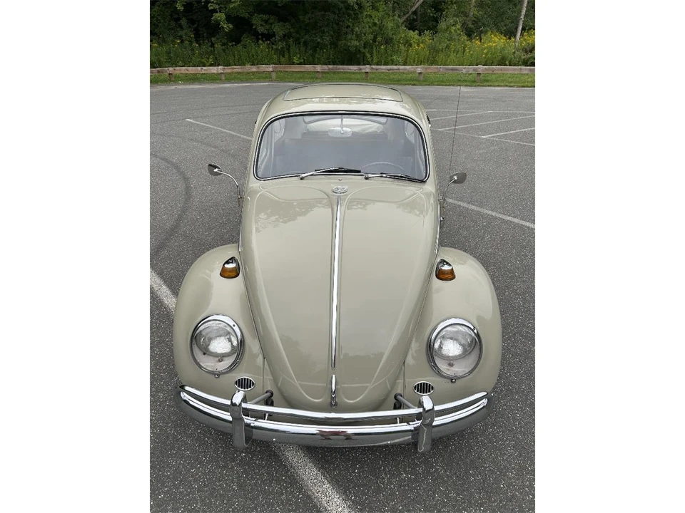 1966 Volkswagen Beetle (1958-1979) - Image 8 of 18