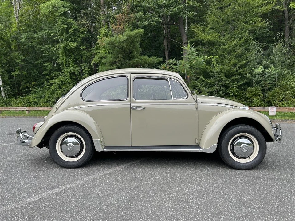 1966 Volkswagen Beetle (1958-1979) - Image 6 of 18