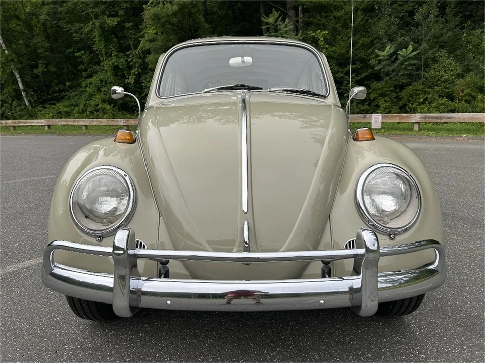 1966 Volkswagen Beetle (1958-1979) - Image 9 of 18
